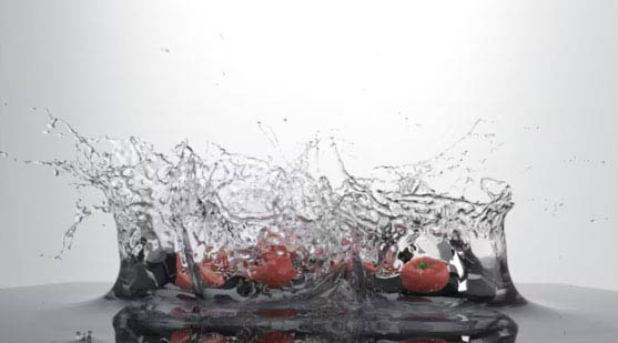 Tomato Splash R&D